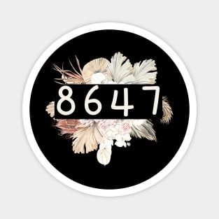 8647 Magnet
